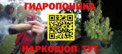 амф Аша