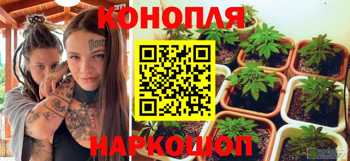 Канабис MAZAR Боровичи